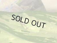 イエアメガエル